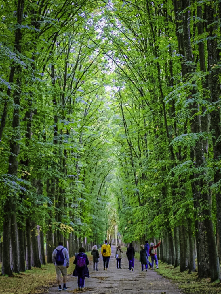 SWCAN_Marche_Temps_Profond